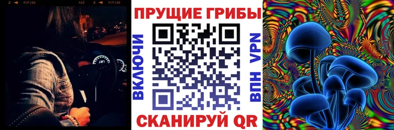 Галлюциногенные грибы Psilocybe  Туран 